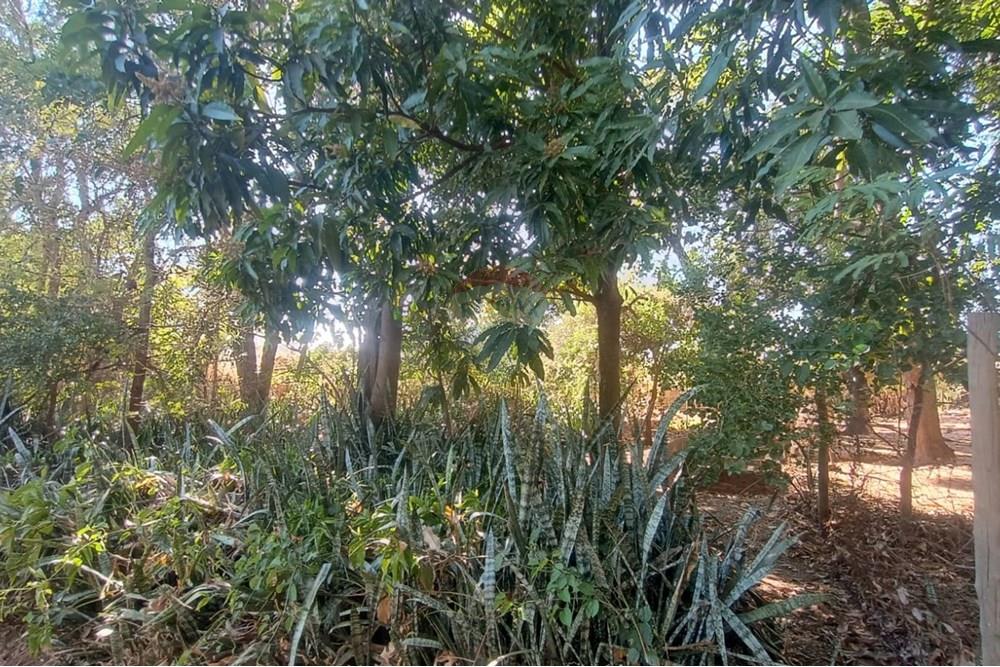 Terreno - Venda - Lins , São Paulo - Lote 05.jpg - 631011048-3