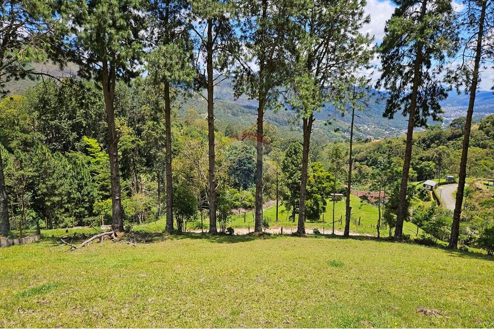 Terreno - Venda - Nova Friburgo , Rio de Janeiro - 20251111_104012.jpg - 630551024-83