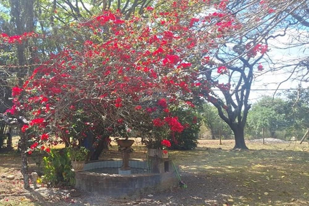 Casa de Campo - Venda - Araçoiaba da Serra , São Paulo - WhatsApp Image 2025-10-11 at 14.15.34 (1).jpeg - 630591061-147