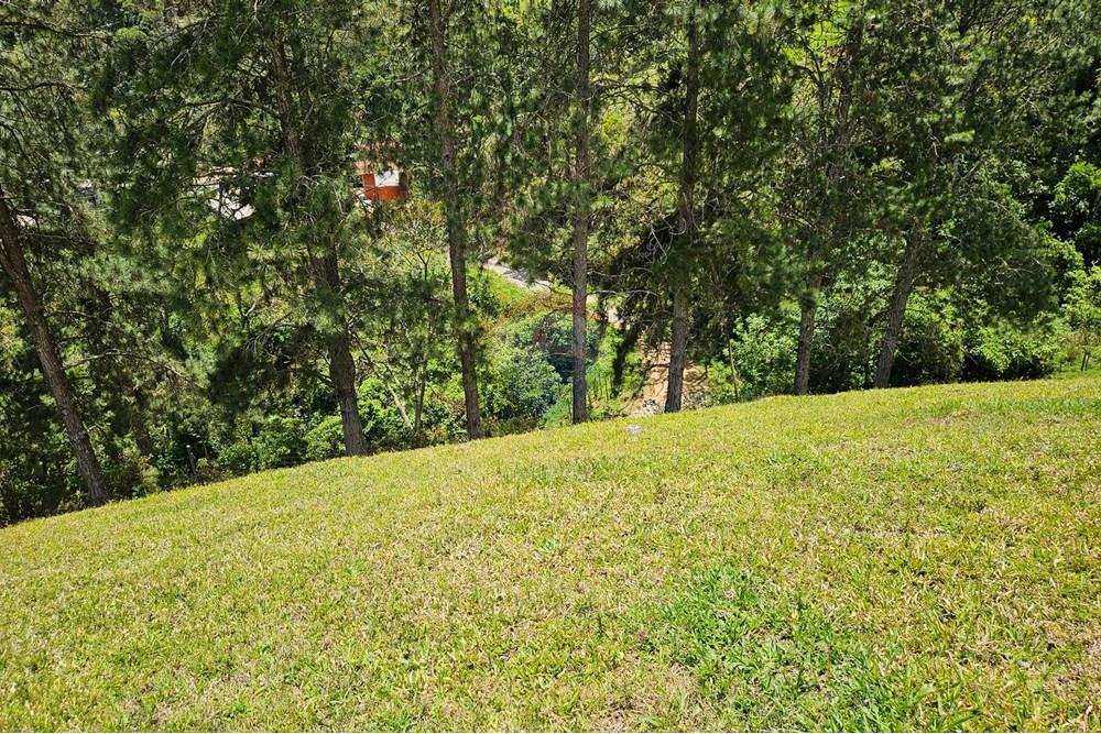 Terreno - Venda - Nova Friburgo , Rio de Janeiro - 20251111_104102.jpg - 630551024-83