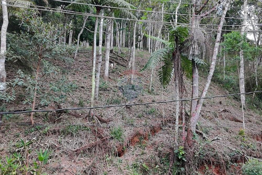 Terreno - Venda - Teresópolis , Rio de Janeiro - DJI_20251223091612_0230_D.JPG - 630191109-14
