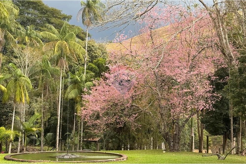 Chácara / Sítio / Fazenda - Venda - Bom Jardim , Rio de Janeiro - 589206eb-b01b-4d08-9068-5818ffd147aa.jpg - 630171006-65