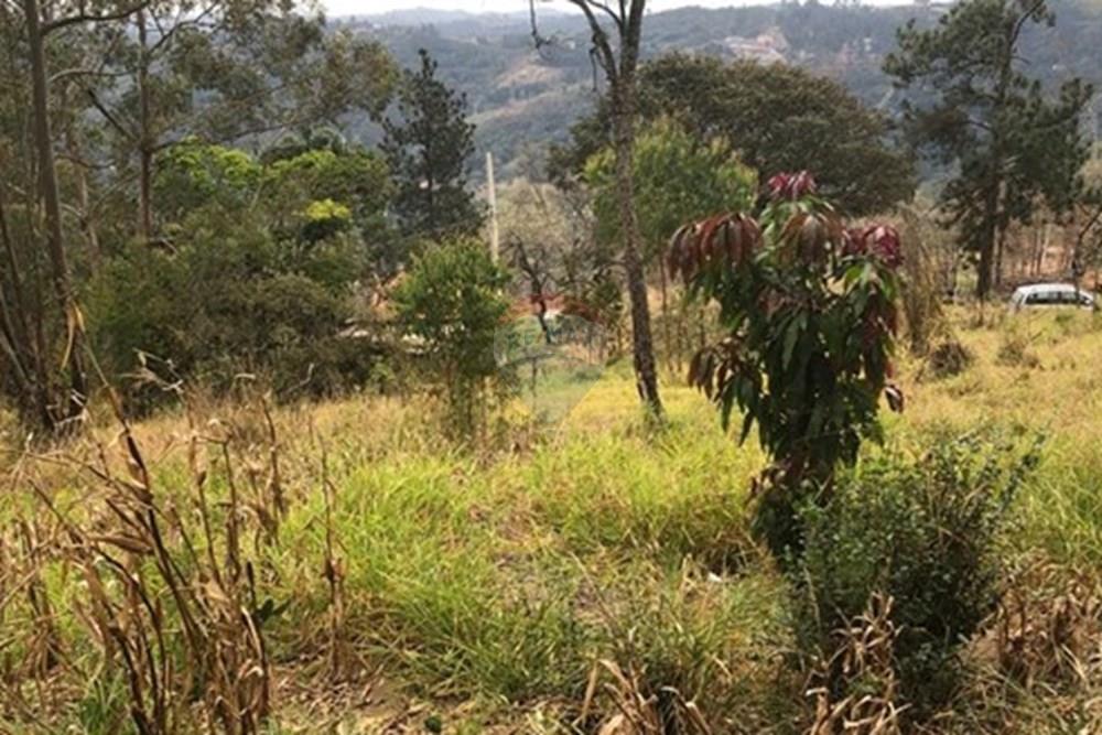 Terreno - Venda - Mairiporã , São Paulo - WhatsApp Image 2025-09-17 at 15.06.10.jpeg - 631361059-4