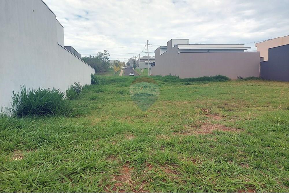 Terreno - Venda - Álvares Machado , São Paulo - 20251028_123439.jpg - 630861066-9