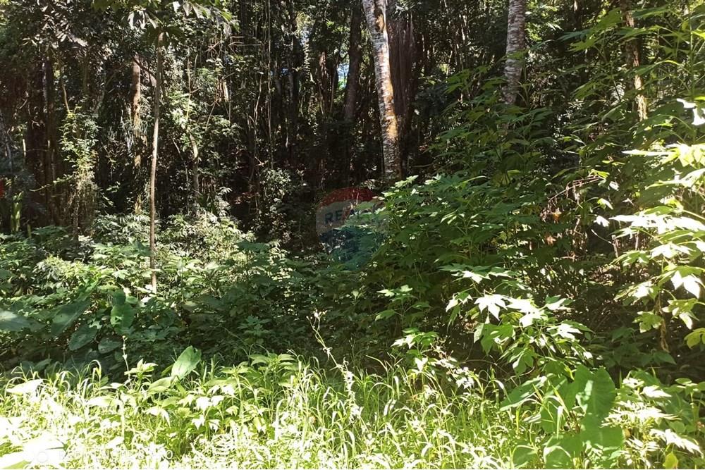 Terreno - Venda - Mairiporã , São Paulo - WhatsApp Image 2025-02-21 at 12.03.20.jpeg - 631361025-30