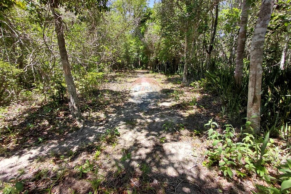 Terreno - Venda - Armação dos Búzios , Rio de Janeiro - 20251211_103443.jpg - 630391071-25