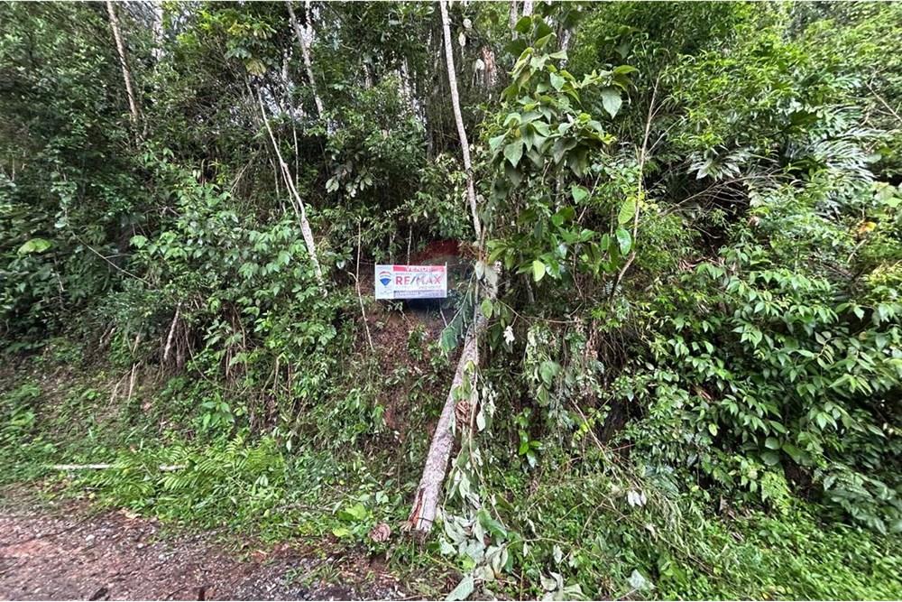 Terreno - Venda - Mairiporã , São Paulo - Imagem do WhatsApp de 2025-02-24 à(s) 15.43.28_a9e4caf1.jpg - 631361005-102