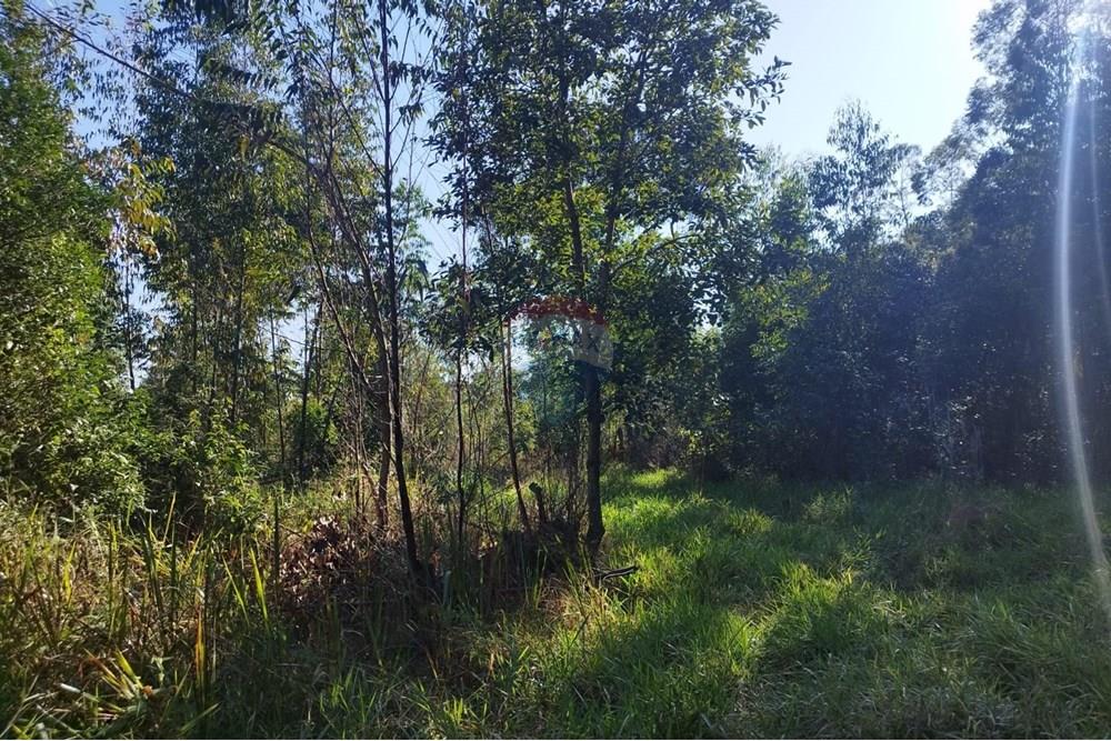 Terreno - Venda - Cabreúva , São Paulo - Terreno Maria Tereza 10.jpg - 630531013-11