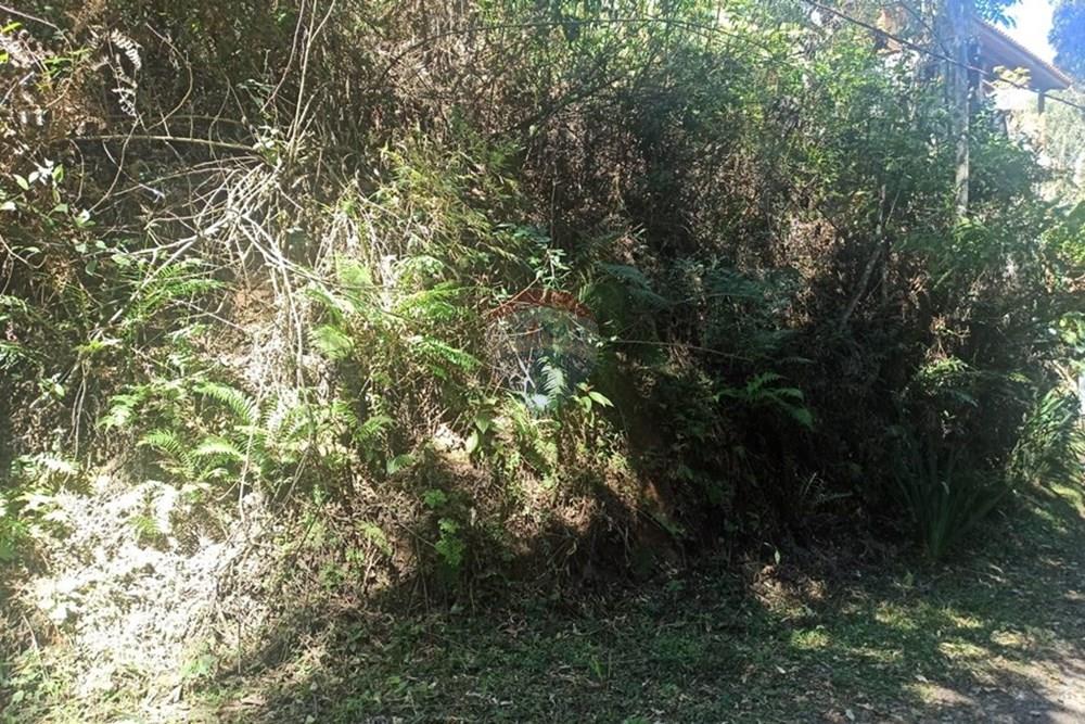 Terreno - Venda - Mairiporã , São Paulo - WhatsApp Image 2025-07-31 at 01.49.06 (1).jpeg - 631361025-34