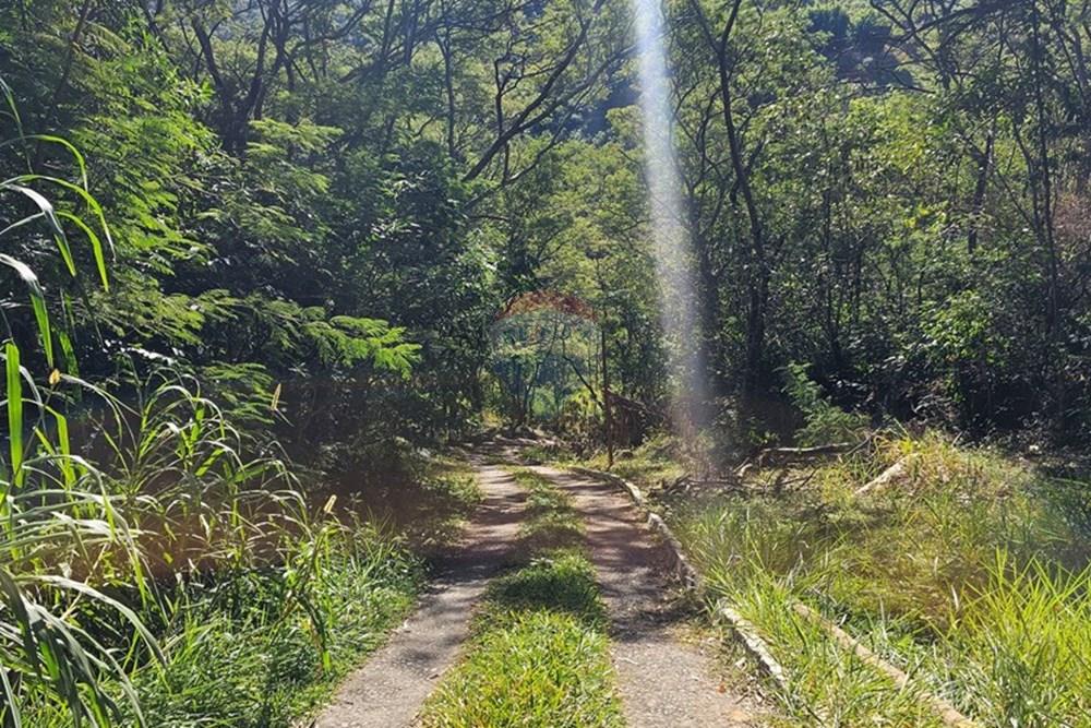 Terreno - Venda - Petrópolis , Rio de Janeiro - 20250623_122450.jpg - 631611012-16