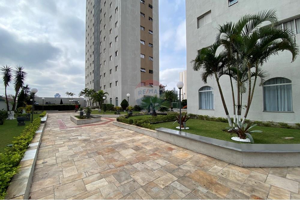 Apartamento - Alugar - Guarulhos , São Paulo - IMG_2255.jpeg - 630251118-7
