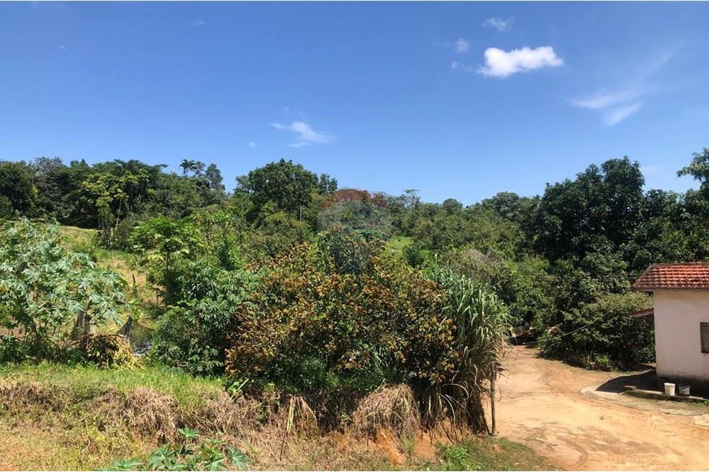 Chácara / Sítio / Fazenda - Venda - Santa Isabel , São Paulo - WhatsApp Image 2025-02-20 at 14.04.30 (2).jpeg - 631491020-25