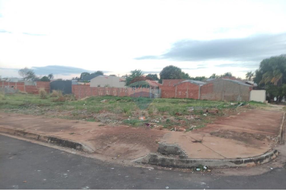 Terreno - Venda - Andradina , São Paulo - IMG-20250813-WA0057.jpg - 631201039-23