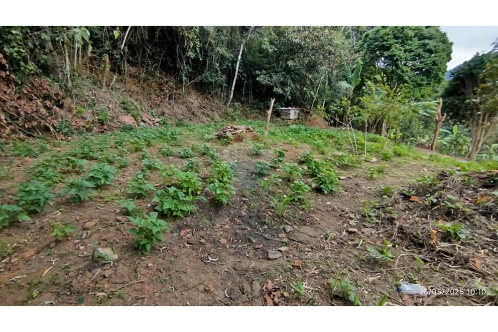 Terreno - Venda - Petrópolis , Rio de Janeiro - WhatsApp Image 2025-05-26 at 12.02.16.jpeg - 630131076-3