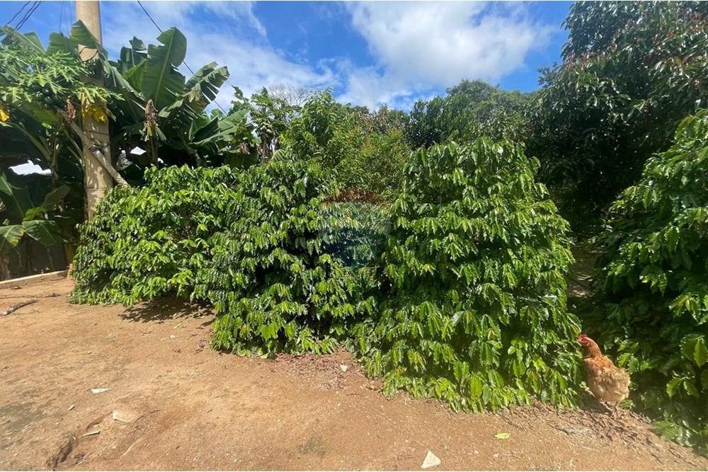 Chácara à venda com 3 quartos, 200m² - Foto 40