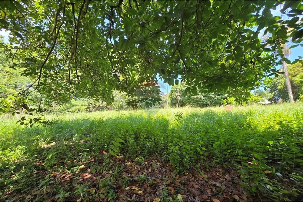 Terreno - Venda - Botucatu , São Paulo - 20260214_111027.jpg - 630481020-61