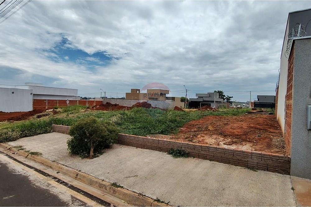 Terreno - Venda - Mirassol , São Paulo - IMG_20251202_115021066_HDR.jpg - 630401039-14