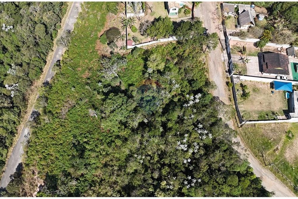 Terreno - Venda - Mogi das Cruzes , São Paulo - DJI_20250911140849_0670_D.JPG - 631251050-25