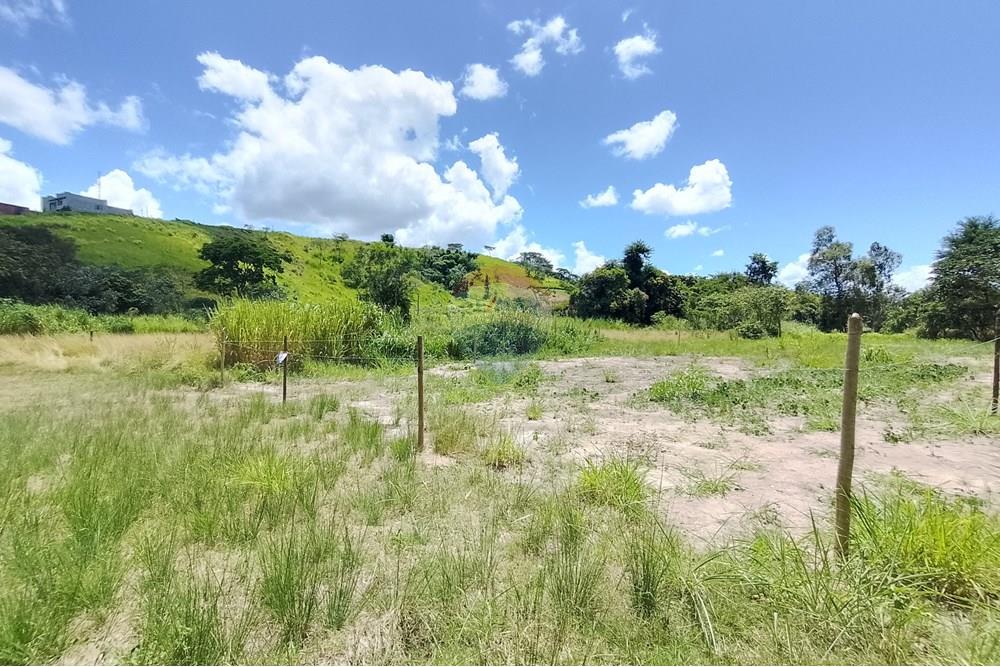 Terreno - Venda - Paraíba do Sul , Rio de Janeiro - IMG_20250225_111244_HDR.jpg - 631411001-104