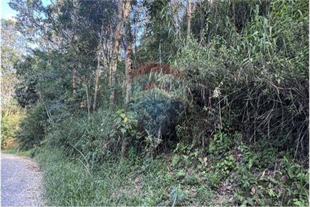 Terreno - Venda - Nova Friburgo , Rio de Janeiro - L_6f0b673c-f757-49da-a6ec-8c7d540924a9_iList (1).jpg - 630551023-411