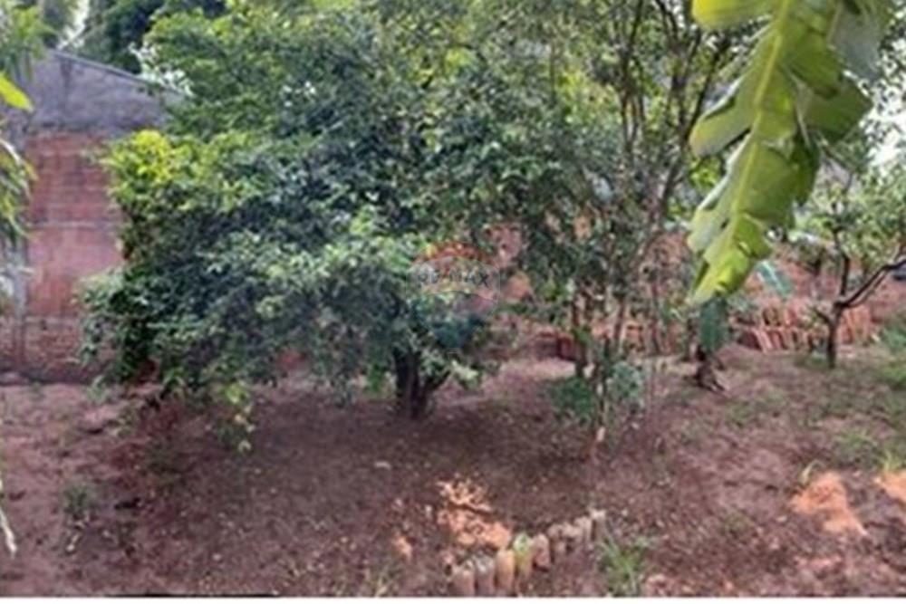 Casa - Venda - São José do Rio Preto , São Paulo - pomar.jpeg - 631481003-233