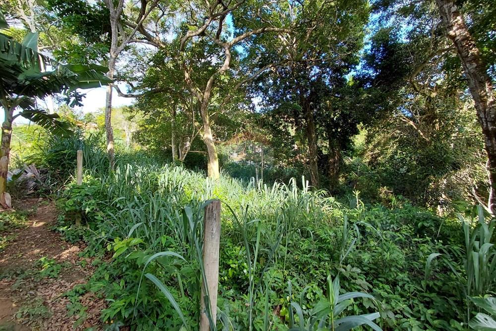 Terreno - Venda - Armação dos Búzios , Rio de Janeiro - 20260206_163726.jpg - 630391071-28