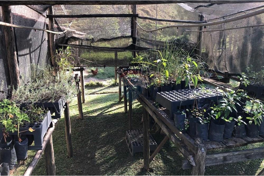 Chácara / Sítio / Fazenda - Venda - Monteiro Lobato , São Paulo - IMG-20240726-WA0122.jpg - 631431003-134