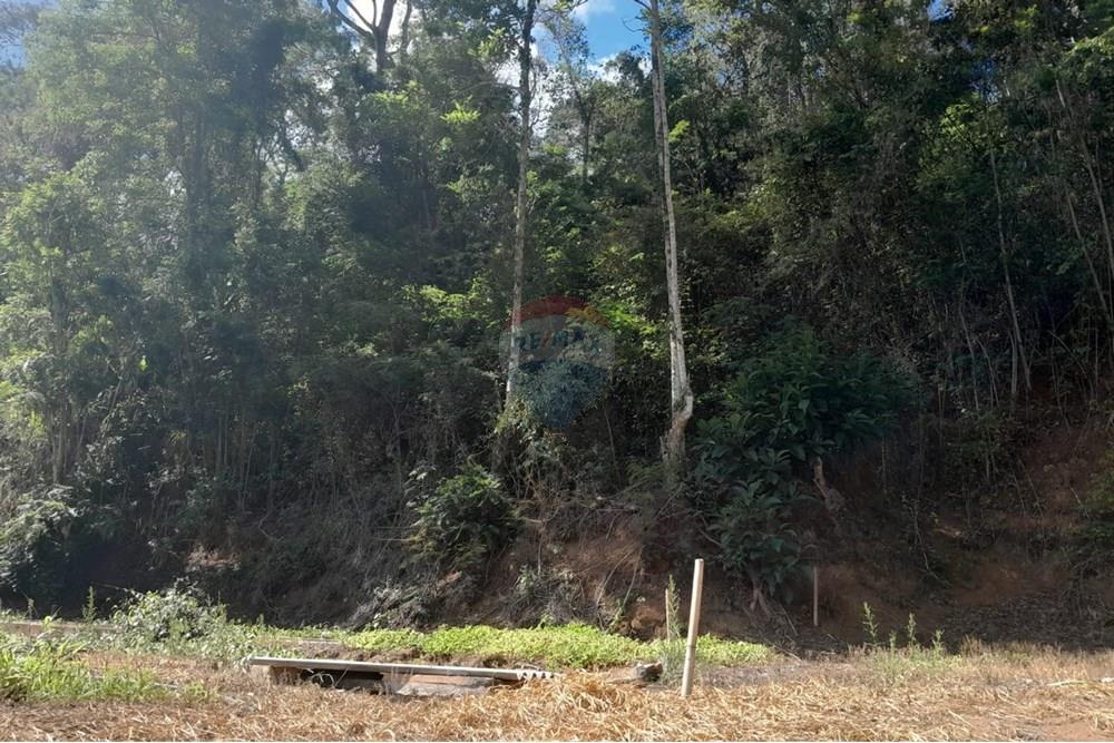 Chácara / Sítio / Fazenda - Venda - Bom Jardim , Rio de Janeiro - WhatsApp Image 2025-12-01 at 11.05.02 (2).jpeg - 630171007-63