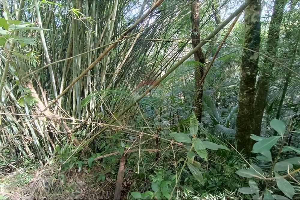Terreno - Venda - Teresópolis , Rio de Janeiro - 11.jpeg - 630191109-22