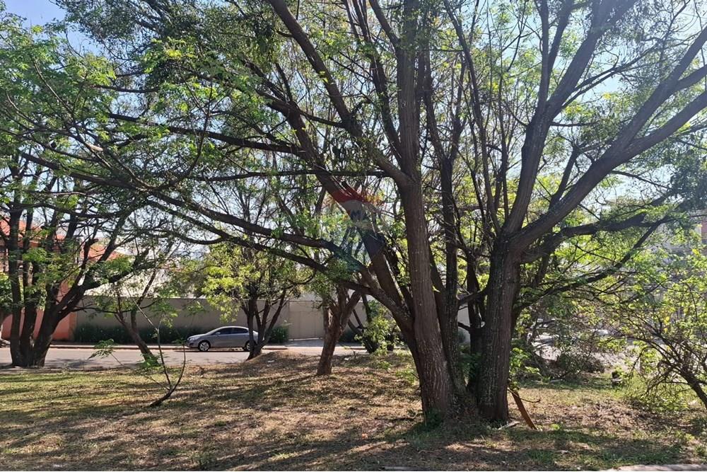 Apartamento - Alugar - Sorocaba , São Paulo - WhatsApp Image 2025-09-05 at 09.26.56.jpeg - 630591251-6