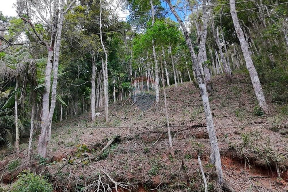 Terreno - Venda - Teresópolis , Rio de Janeiro - DJI_20251223091402_0224_D.JPG - 630191109-14
