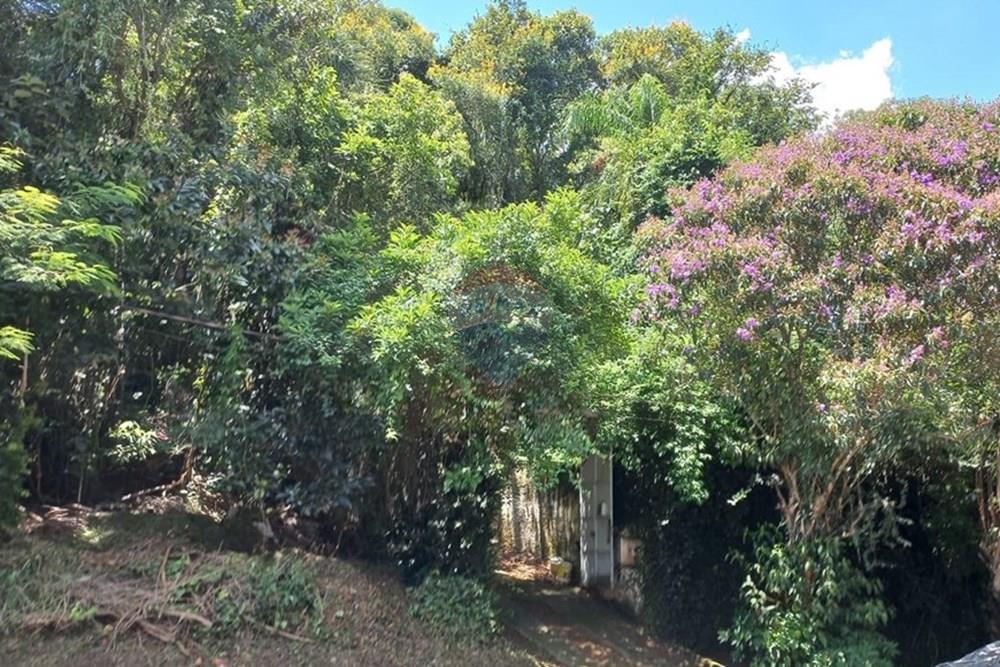 Chácara / Sítio / Fazenda - Venda - Mairiporã , São Paulo - WhatsApp Image 2026-02-07 at 19.34.06.jpeg - 631361080-4