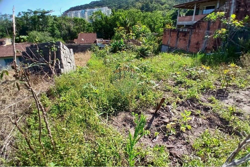 Terreno - Venda - Caraguatatuba , São Paulo - WhatsApp Image 2025-11-02 at 16.13.38.jpeg - 631571013-20