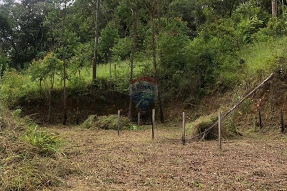 Terreno - Venda - Mairiporã , São Paulo - WhatsApp Image 2026-02-03 at 08.22.03.jpeg - 631361077-14