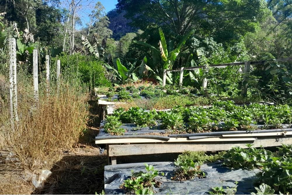 Chácara / Sítio / Fazenda - Venda - Bom Jardim , Rio de Janeiro - WhatsApp Image 2025-12-01 at 10.15.06.jpeg - 630171007-64