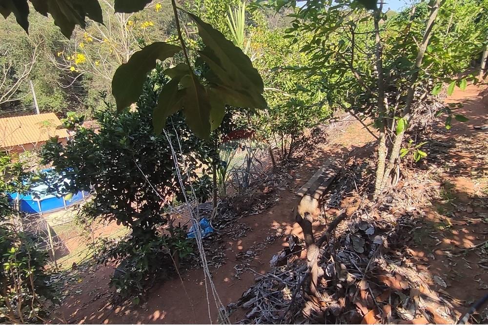 Terreno - Venda - Paraíba do Sul , Rio de Janeiro - IMG_20250911_133850.jpg - 631411007-4