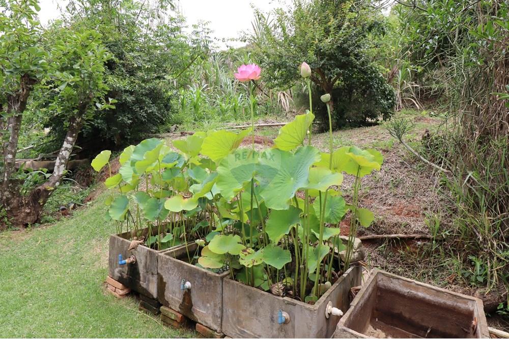 Chácara / Sítio / Fazenda - Venda - Atibaia , São Paulo - IMG_2573 (Custom).JPG - 631361005-173