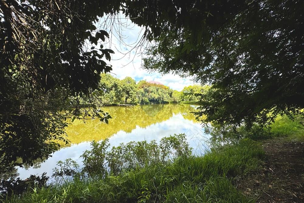 Chácara / Sítio / Fazenda - Venda - Birigui , São Paulo - 20260129_132807919_iOS.jpg - 630541040-79