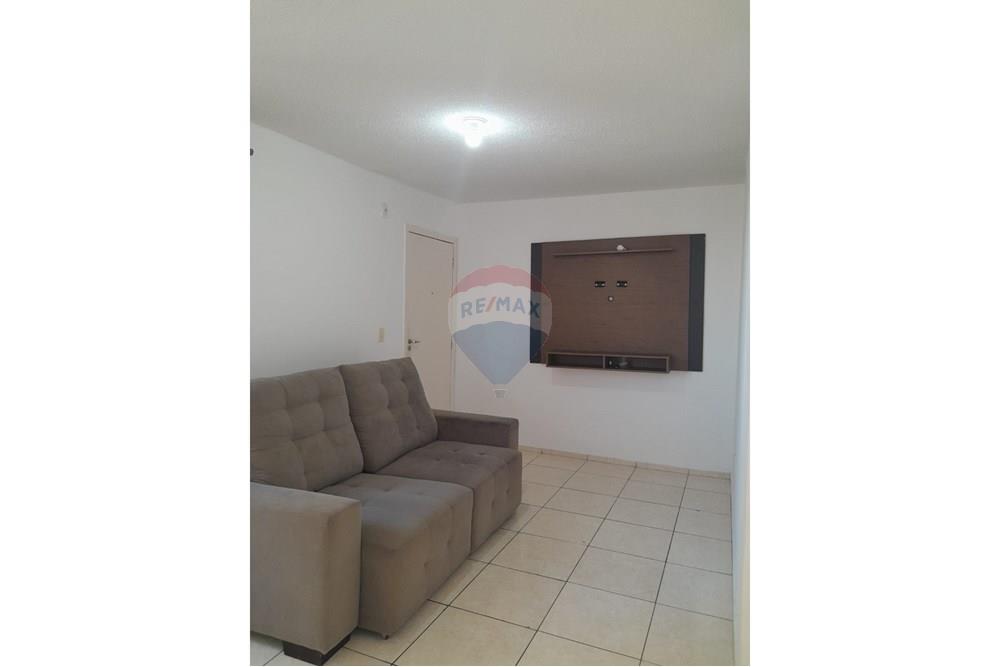 Apartamento - Alugar - Araçatuba , São Paulo - IMG-20251127-WA0158.jpg - 630541060-3