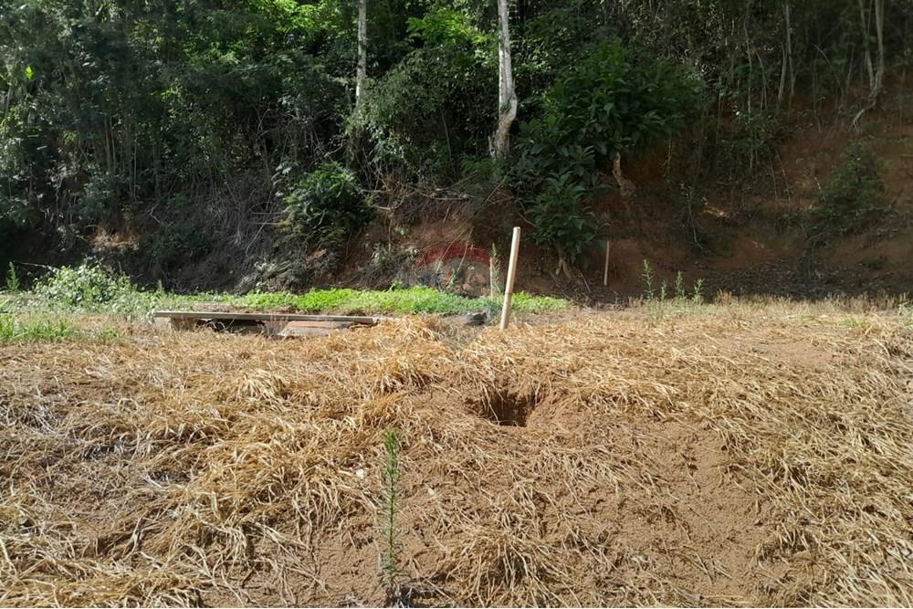 Chácara / Sítio / Fazenda - Venda - Bom Jardim , Rio de Janeiro - WhatsApp Image 2025-12-01 at 11.05.01.jpeg - 630171007-63