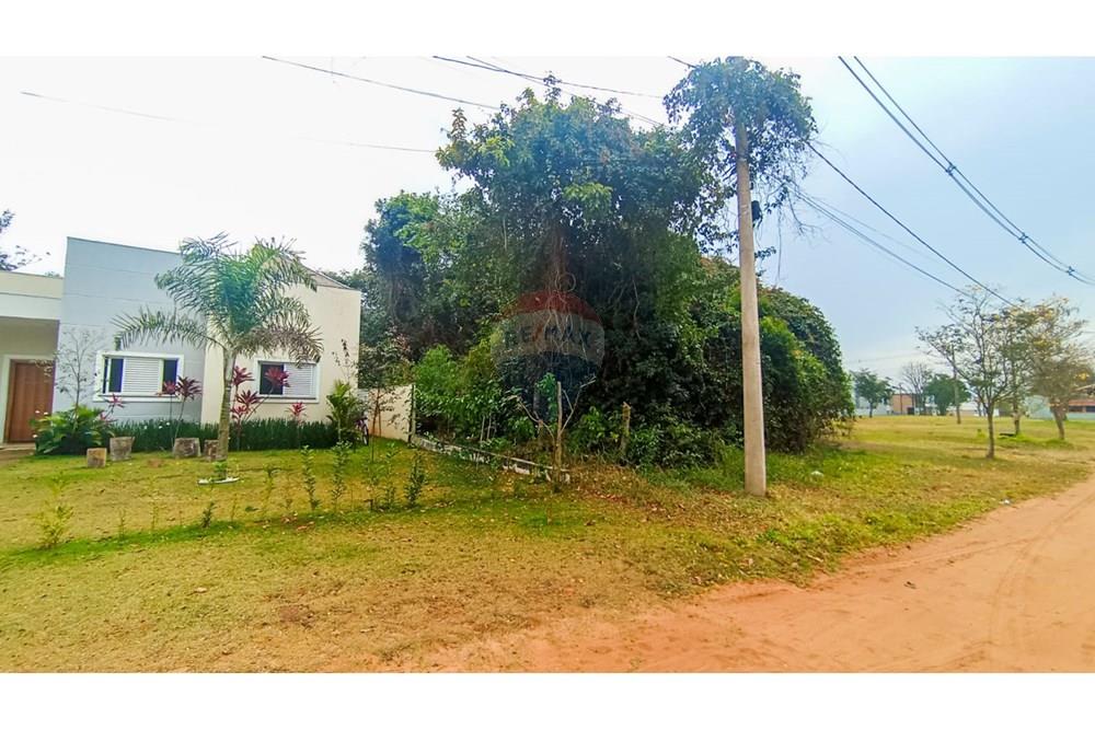 Terreno - Venda - Pardinho , São Paulo - IMG-20250822-WA0154.jpg - 630481103-120