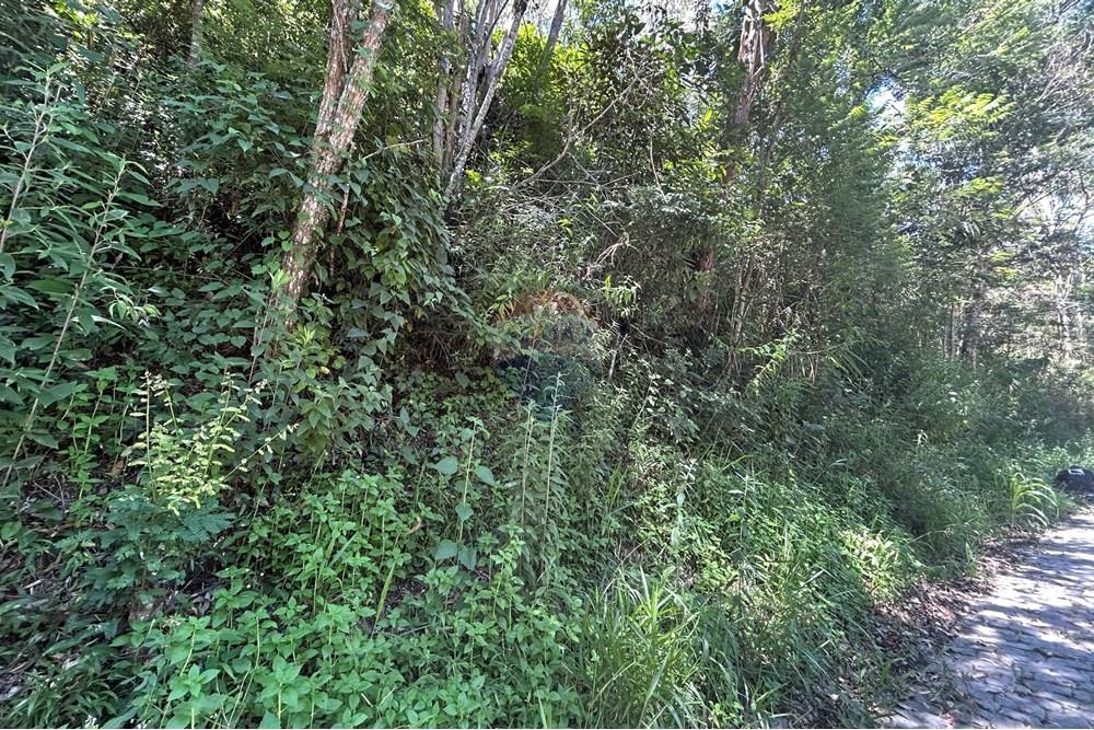 Terreno - Venda - Nova Friburgo , Rio de Janeiro - IMG_6786.JPG - 630551037-40