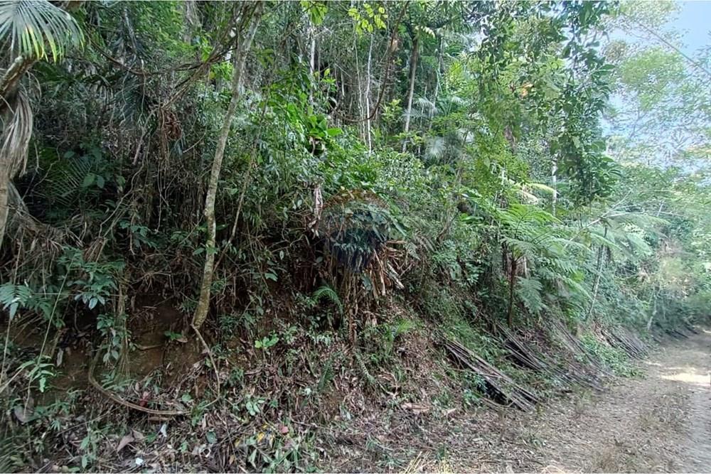 Terreno - Venda - Teresópolis , Rio de Janeiro - 17.jpeg - 630191109-22