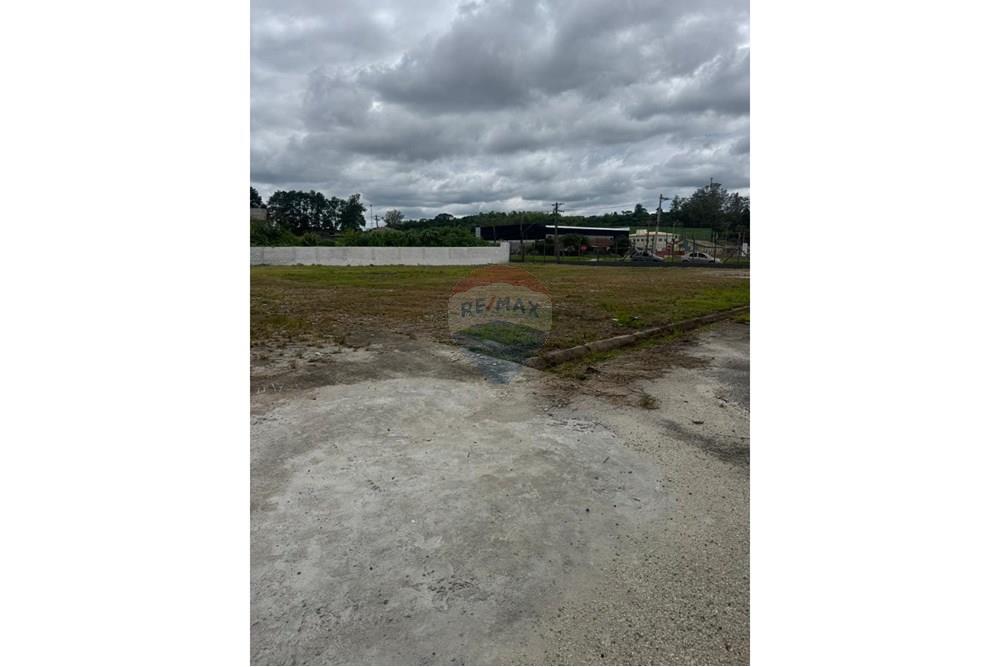 Terreno - Alugar - Ribeirão Pires , São Paulo - WhatsApp Image 2026-01-06 at 14.54.24 (2).jpeg - 631371009-111