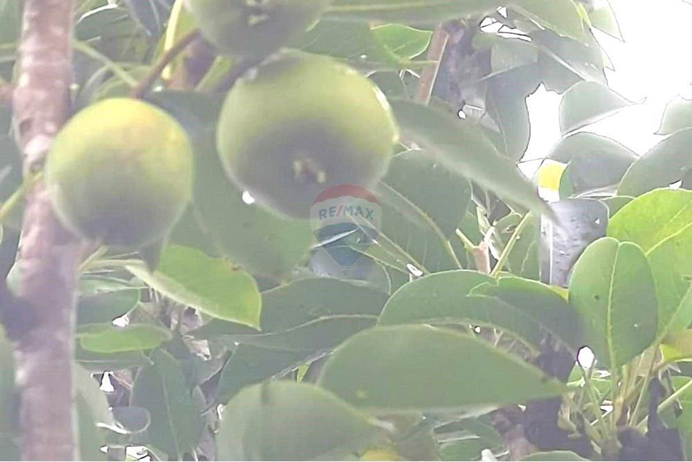 Terreno - Venda - Salto de Pirapora , São Paulo - Imagem do WhatsApp de 2024-12-20 à(s) 16.31.44_2d17b576.jpg - 631181026-59