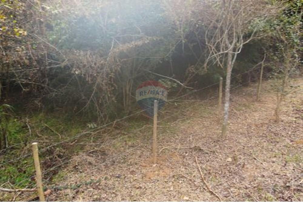 Terreno - Venda - Paraíba do Sul , Rio de Janeiro - 10.jpg - 631611011-3