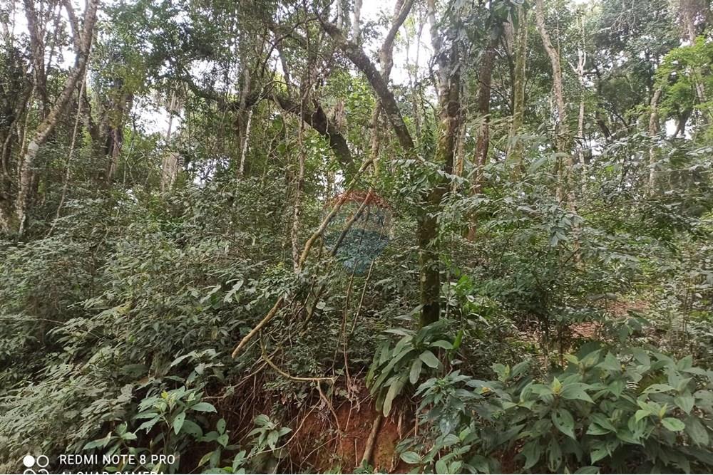 Terreno - Venda - Mairiporã , São Paulo - WhatsApp Image 2025-07-28 at 23.50.07 (1).jpeg - 631361025-37