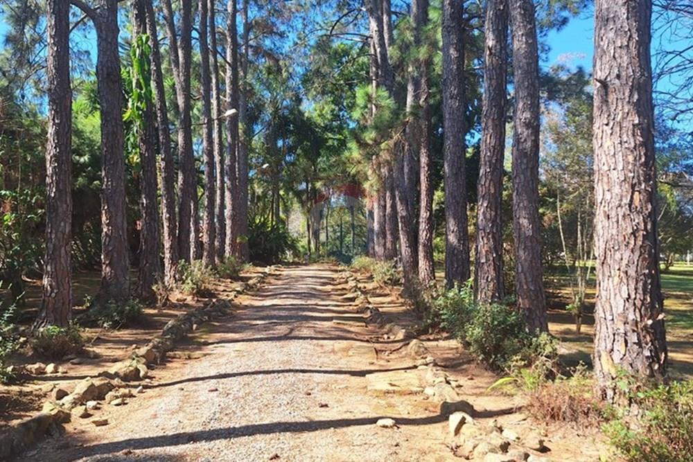 Casa de Campo - Venda - Araçoiaba da Serra , São Paulo - WhatsApp Image 2025-10-11 at 14.15.39.jpeg - 630591061-147