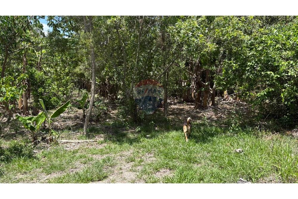 Chácara / Sítio / Fazenda - Venda - Porangaba , São Paulo - WhatsApp Image 2025-11-28 at 09.40.07.jpeg - 630481027-141