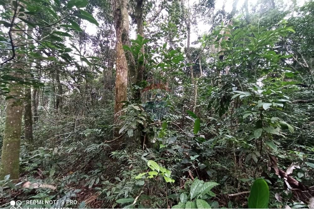 Terreno - Venda - Mairiporã , São Paulo - WhatsApp Image 2025-07-28 at 23.50.18 (1).jpeg - 631361025-37